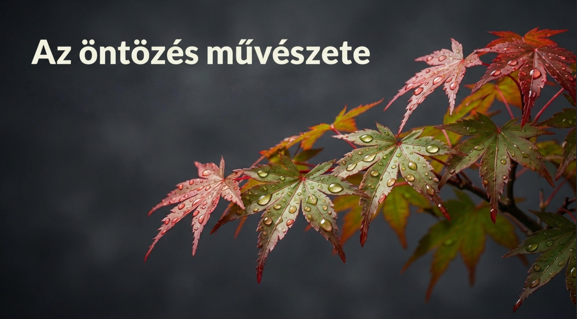 A japán juhar öntözésének titka a dús és egészséges lombozatért