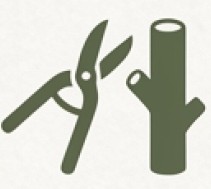 Should major cuts be expected?