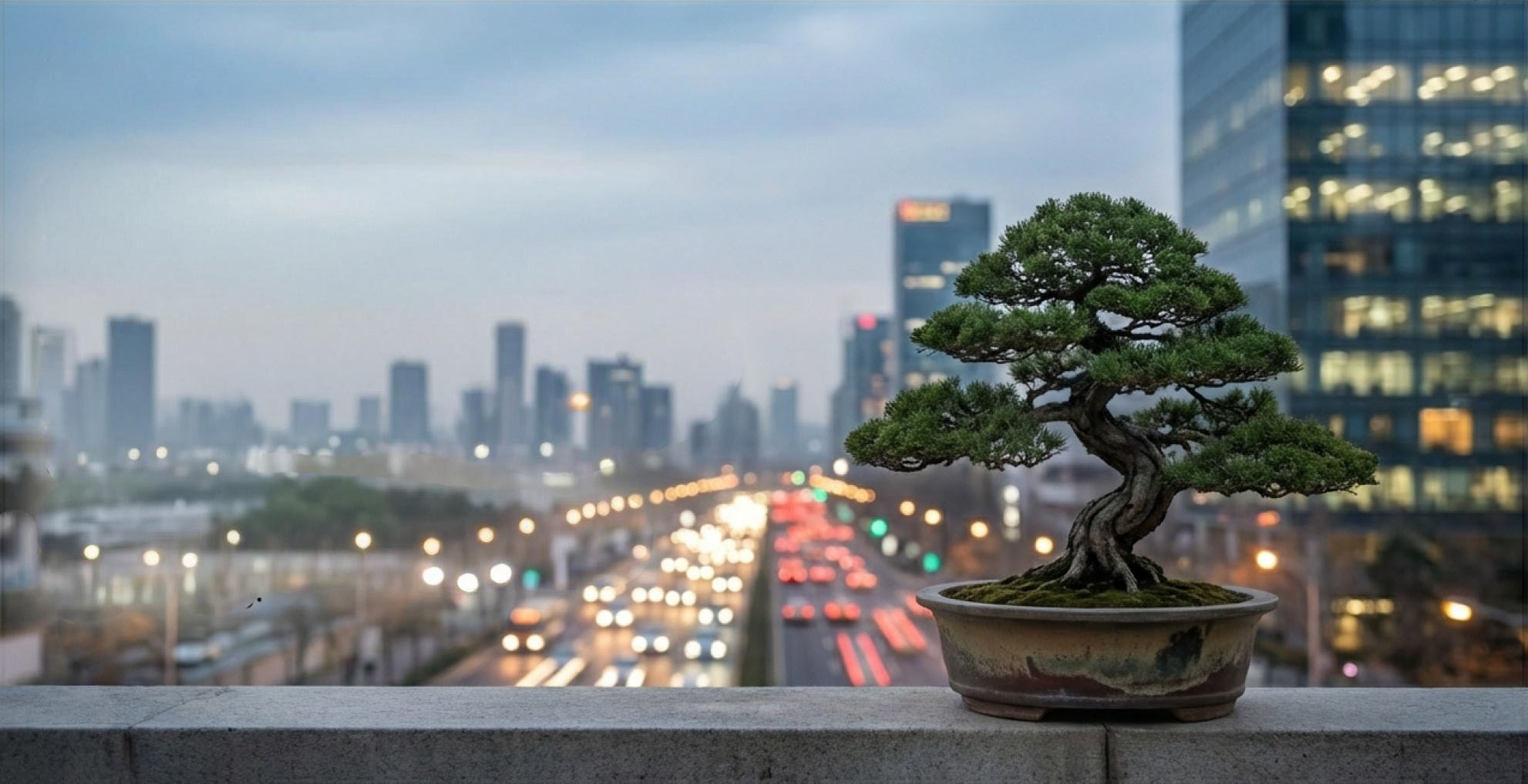 Bonsai: az élő kapcsolat a digitális világban